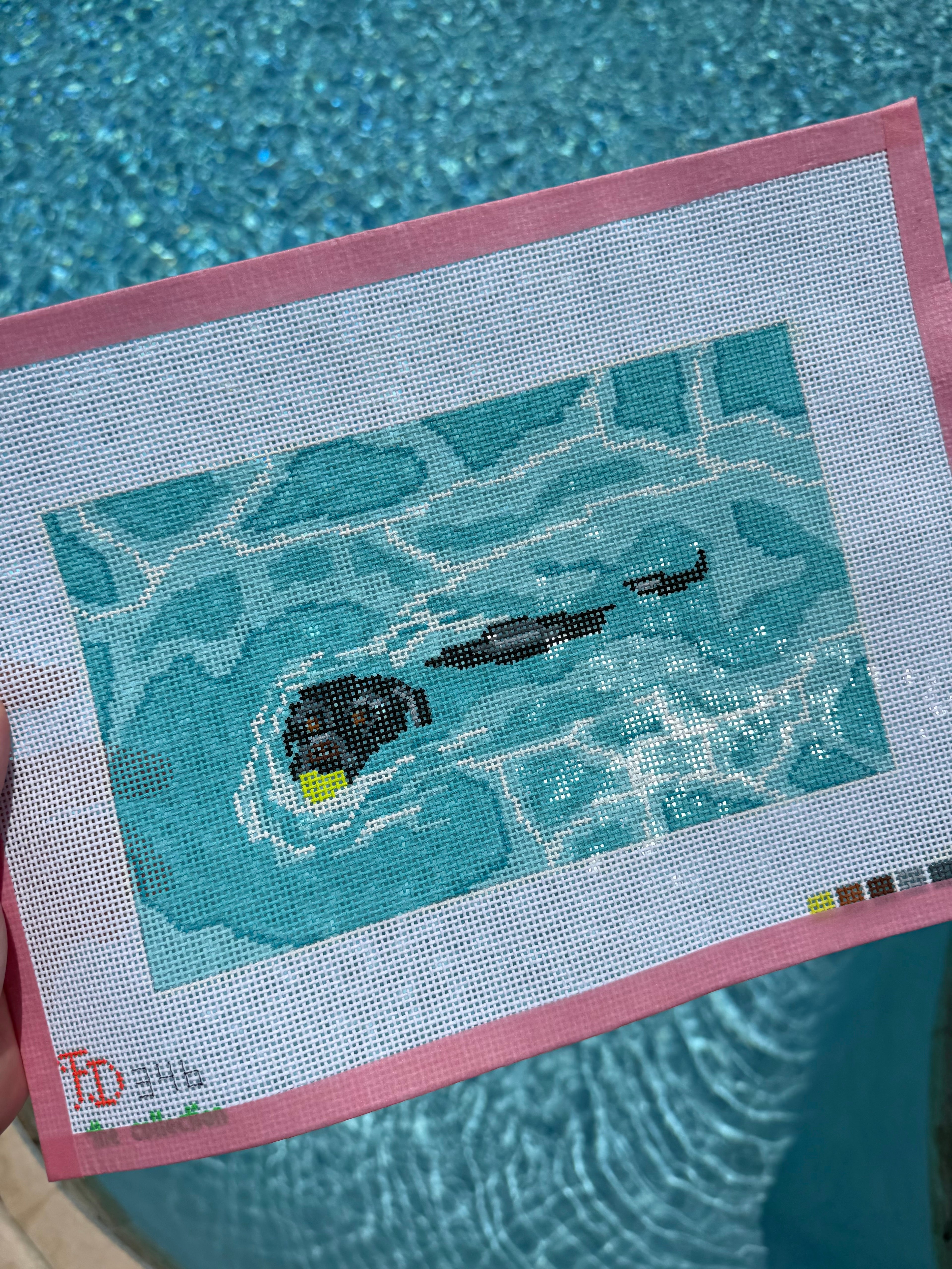 Lab Swimming Canvas