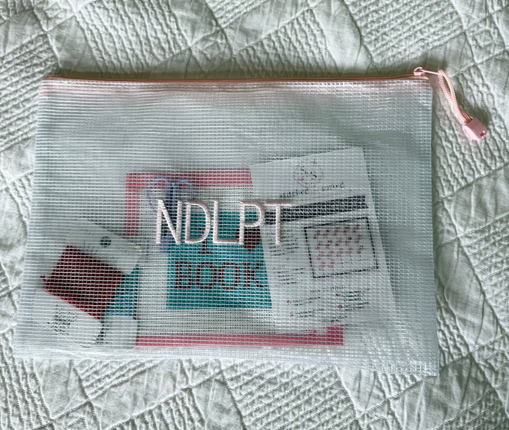 Needlepoint 101 Class at Mockingbird Books Katy - 8/10